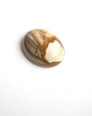 Caboson picture jasper (AV7)