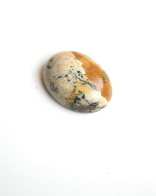 Caboson picture jasper (AV7)