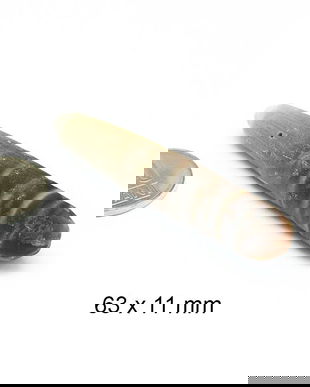 Tepi arici de mare ( pandantiv/ clopotei de vant FENG SHUI), naturali, 63 x 11 mm. AR-35
