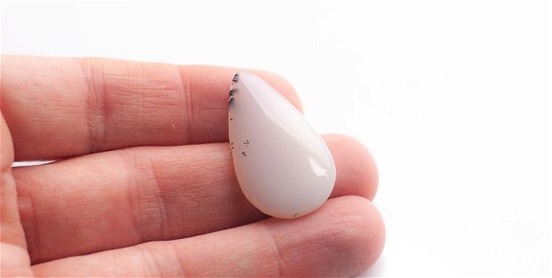 Cabochon  opal dendritic   -  O-548