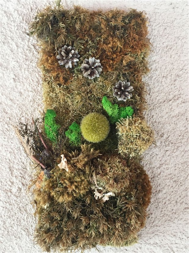 Tablou cu licheni, plante uscate, elemente din natura