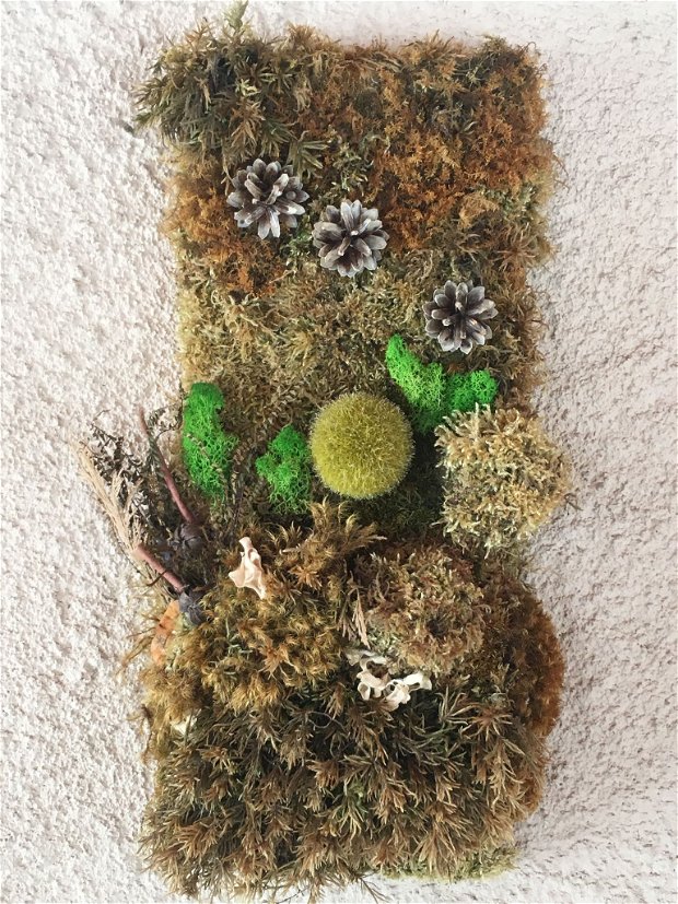 Tablou cu licheni, plante uscate, elemente din natura