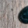 Cabochon agata indiana verde, 40x30 mm