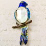 Brosa Paua shell