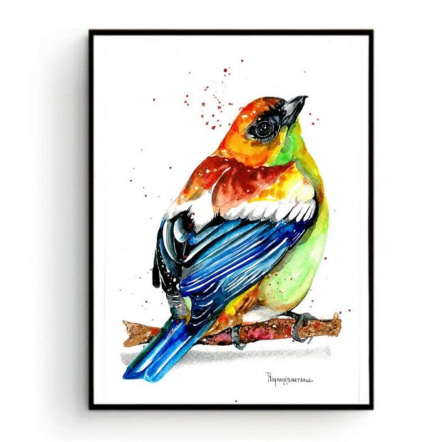 Colorful Bird - Pictura Originala in Acuarela - Birds Collection