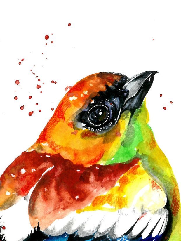 Colorful Bird - Pictura Originala in Acuarela - Birds Collection