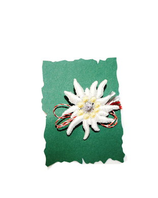 Martisor Floare de Colt