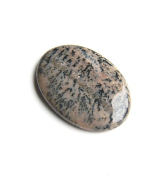 Caboson opal dendritic (C9)