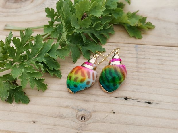 Cercei multicolor shell