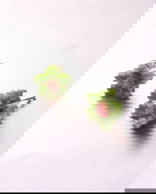 cercei rasina vernil sidef 40113