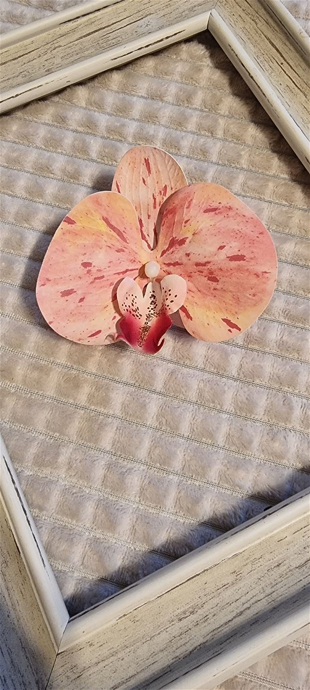 Orhidee par mireasa/nasa