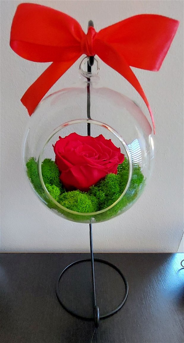 Trandafir criogenat in glob de sticla