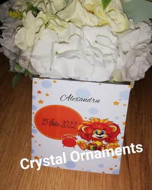 Invitație botez leu