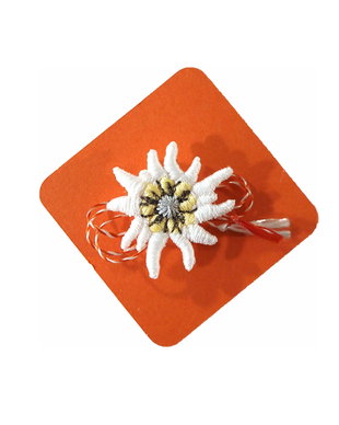 Martisor Floare de Colt