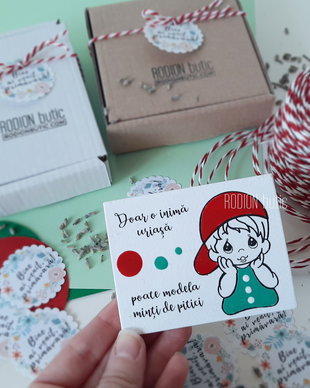 Martisor pentru educatoare magnet pictat manual cu mesaj baietel