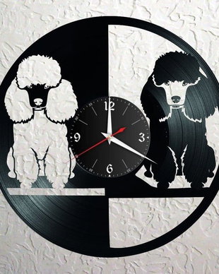 POODLE - ceas de perete