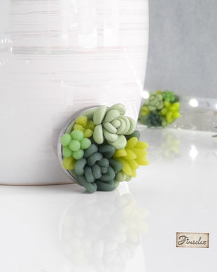 Brosa garden  succulent plants