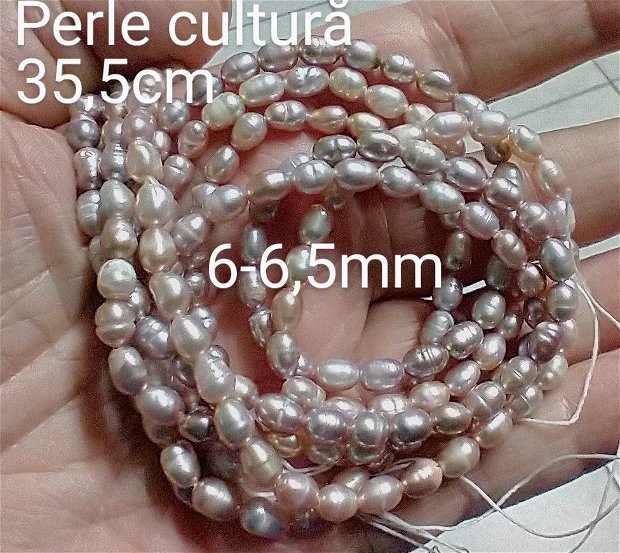 Perle cultură