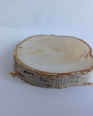 Felie rotundă lemn Mesteacăn  8-1,5 cm