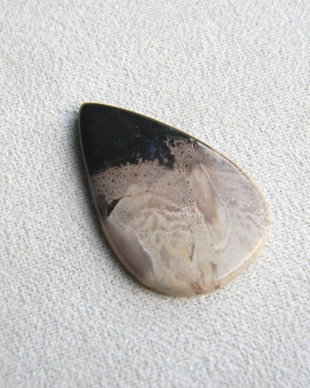 Caboson root plume agat (AV2)