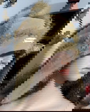 Căciulă imblanita TerraNova