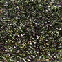 Margele Delica, 11/0, Crystal Magic Orchid - 2205