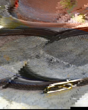 Curea din piele de sarpe