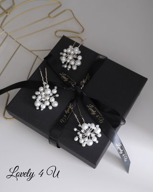 Set Agrafe elegante - Norys