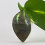 Pandantiv agata 36x20x9.5mm (1)