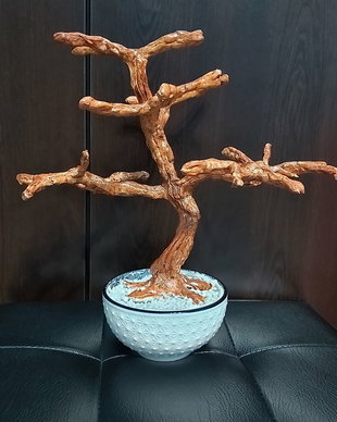 Trunchi bonsai blank