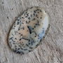 Cabochon opal dendritic, 45x29 mm