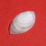 Cabochon agata fatetata taietura Marquise aprox 25x15.3x5.8 mm