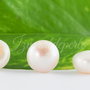 Perle cultura 11x7.5-8mm, semigaurite, cod P01 (1)