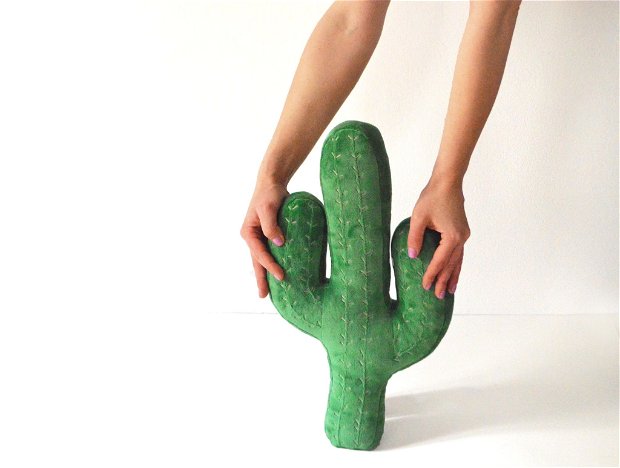 Perna cactus