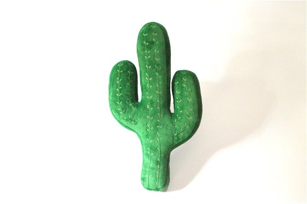 Perna cactus