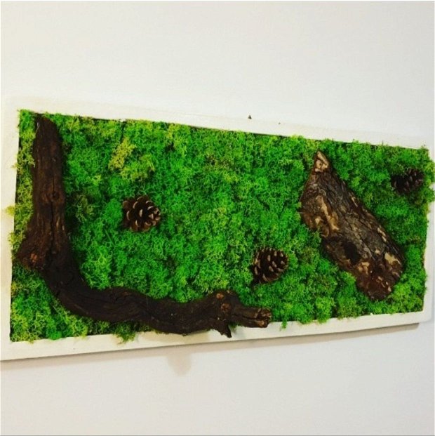 Tablou licheni naturali si stabilizati, licheni decorativi