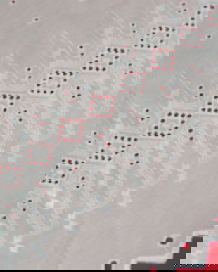 Broderie pe batist *perdeluta*