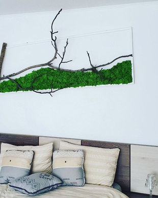 Tablou licheni naturali si stabilizati, licheni decorativi