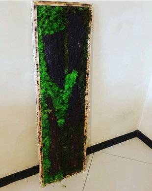 Tablou licheni naturali si stabilizati, licheni decorativi