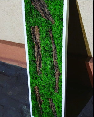 Tablou licheni naturali si stabilizati, licheni decorativi