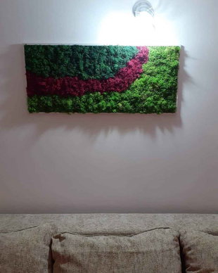 Tablou licheni naturali si stabilizati, licheni decorativi