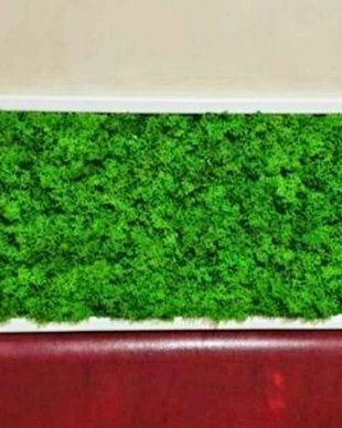 Tablou licheni naturali si stabilizati, licheni decorativi