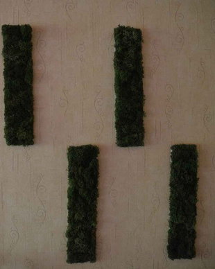 Set tablou licheni naturali si stabilizati, licheni decorativi