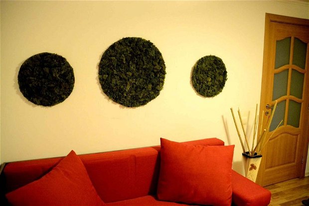 Set tablou licheni naturali si stabilizati, licheni decorativi