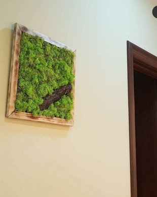 Tablou licheni naturali si stabilizati, licheni decorativi
