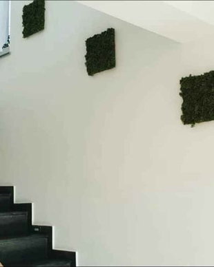 Set tablou licheni naturali si stabilizati, licheni decorativi