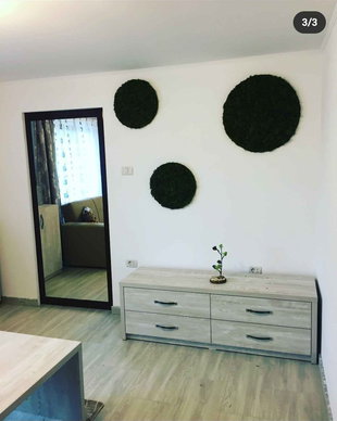 Set tablou licheni naturali si stabilizati, licheni decorativi