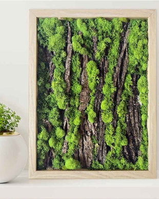 Tablou licheni naturali si stabilizati, licheni decorativi