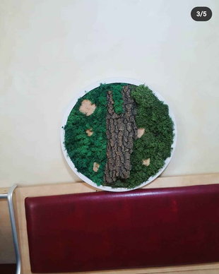 Tablou licheni naturali si stabilizati, licheni decorativi