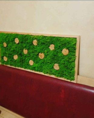 Tablou licheni naturali si stabilizati, licheni decorativi